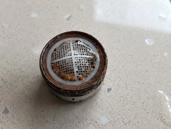 The same jet breaker cleared of biofilm after QEQI® treatment, mesh visible — Grand Hotel Terme di Comano, Trentino, Italy
