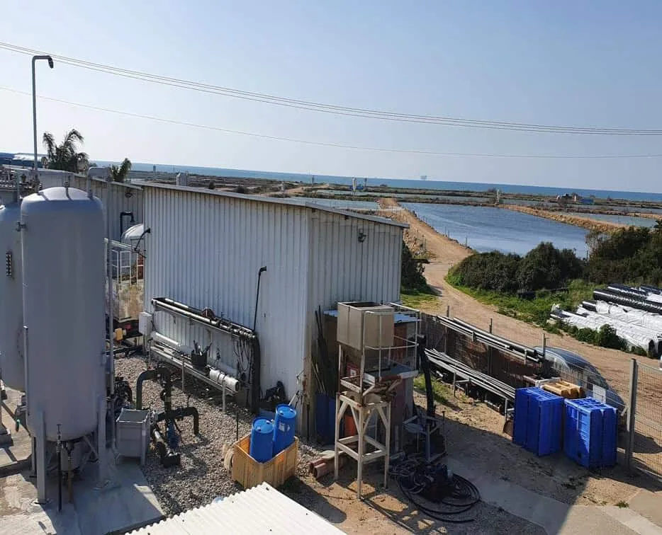 QEQI® i100 on the RO feed of a Middle East desalination plant — biofouling controlled, 81% peak recovery, 250-day cartridge life