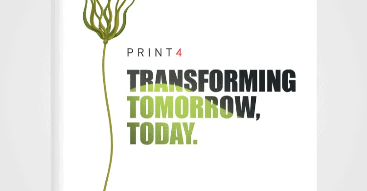 Our Plastic-Free, Recyclable Packaging Redesign Story