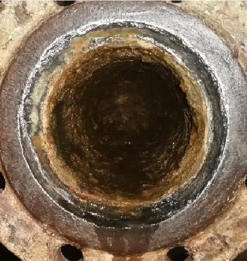 Softened, brittle deposits and cleared biofouling after QEQI® treatment — Zaporizhzhya Nuclear Power Plant, Ukraine