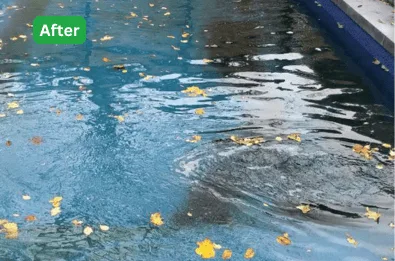 pool after