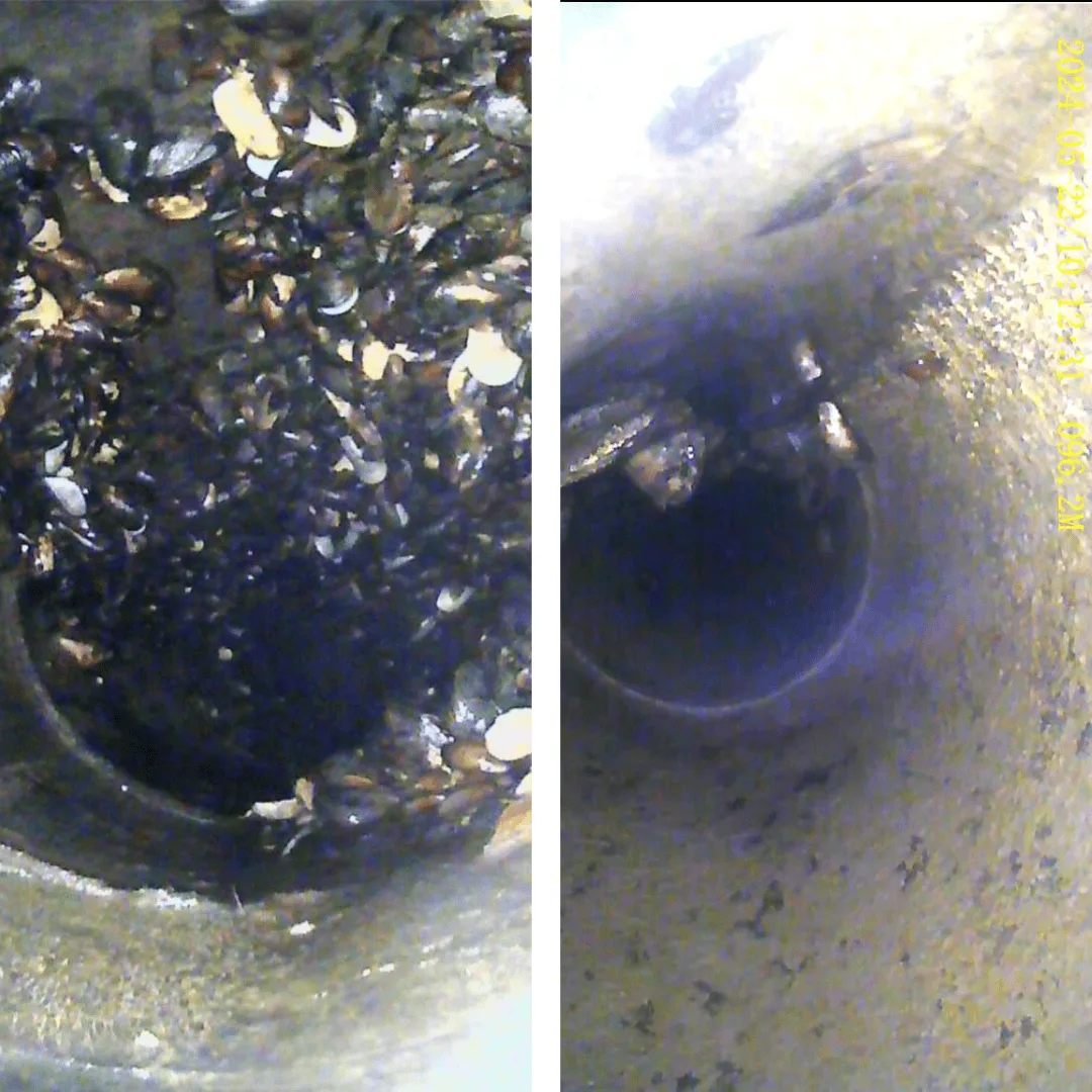 Biofouling before and after — V&A Waterfront seawater line, Cape Town